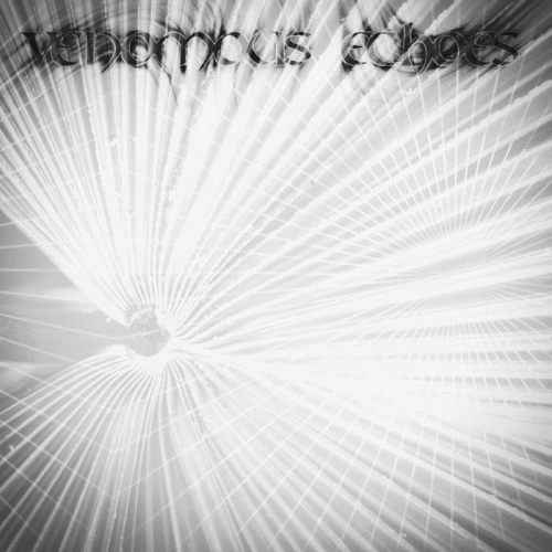 Venomous Echoes : Demo 2020 Venomous Echoes : Demo 2020